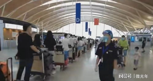 高額留學中介費引爭議 詆毀普通家庭還是市場現實？