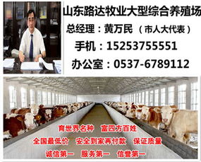 山東肉牛養(yǎng)殖市場(chǎng)動(dòng)態(tài)與自費(fèi)出國(guó)留學(xué)中介服務(wù)的對(duì)比分析