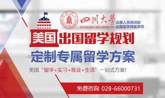 成都學(xué)生申請(qǐng)美國(guó)MPP項(xiàng)目條件解析與自費(fèi)留學(xué)中介服務(wù)選擇指南